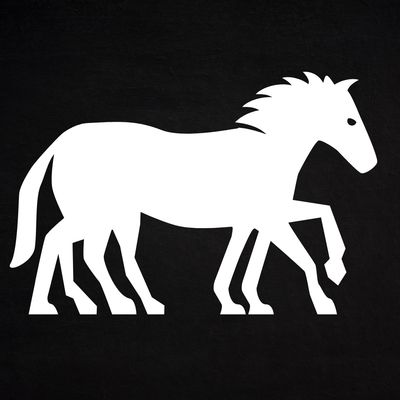 SLEIPNIR EMPOWERMENT - Rosemary Noel - HANDBUCH IN DEUTSCHER SPRACHE