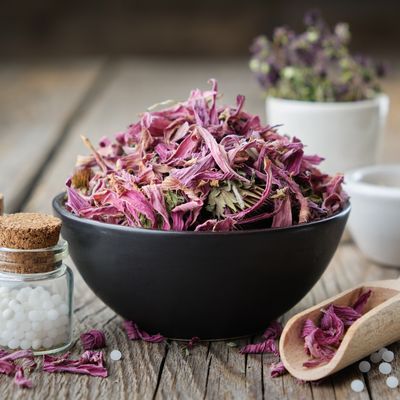 HOMÖOPATHISCHE ESSENZEN  - Sandra Henning - HANDBUCH IN DEUTSCHER SPRACHE