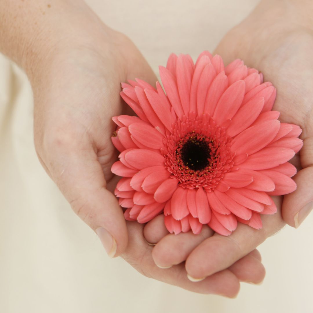 GRIEF RELEASE ENERGY - Sandra Henning - HANDBUCH IN DEUTSCHER SPRACHE
