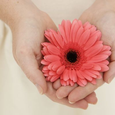 GRIEF RELEASE ENERGY - Sandra Henning - HANDBUCH IN DEUTSCHER SPRACHE