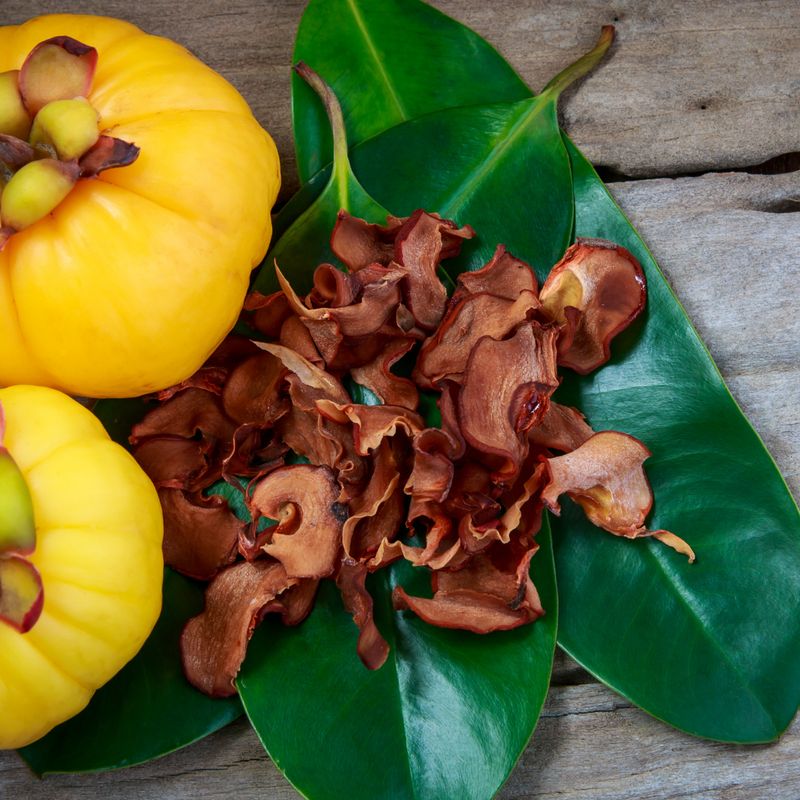 GARCINIA CAMBOGIA ENERGIE 999 - A.Z. Hannael - HANDBUCH IN DEUTSCHER SPRACHE