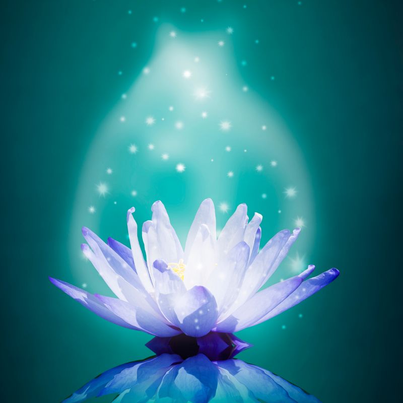 Magic 121212 - Gaby Solina Grill-Mitterhofer - HANDBUCH IN DEUTSCHER SPRACHE