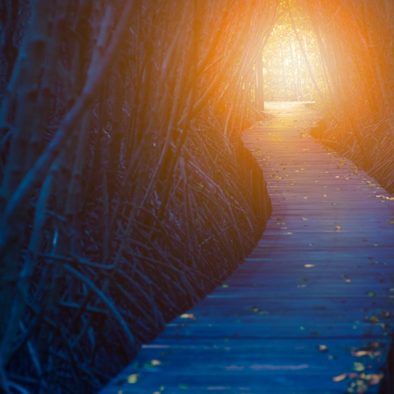 Prosonodo Licht - Gaby Solina Grill-Mitterhofer - HANDBUCH IN DEUTSCHER SPRACHE