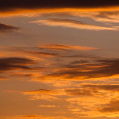 Die Feen der Abendstimmung - Angelica Saerbeck - HANDBUCH IN DEUTSCHER SPRACHE