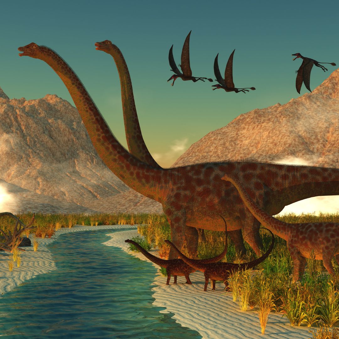 Diplodocus Attunements - by Ramón Martínez López
