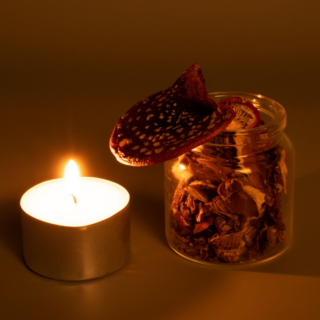 Toad Bufo Alvarius Ermächtigung​​​ -  Ramón Martínez López