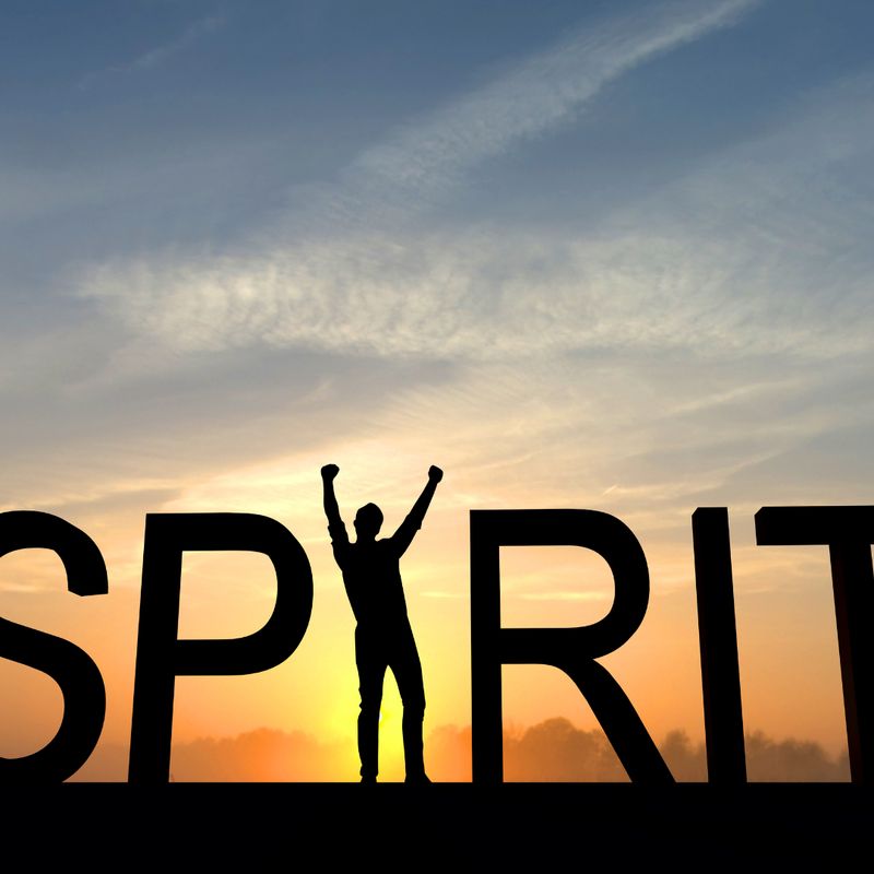 HÖHERES SELBST – VERBINDE DICH MIT SPIRIT - Ole Gabrielsen - HANDBUCH IN DEUTSCHER SPRACHE
