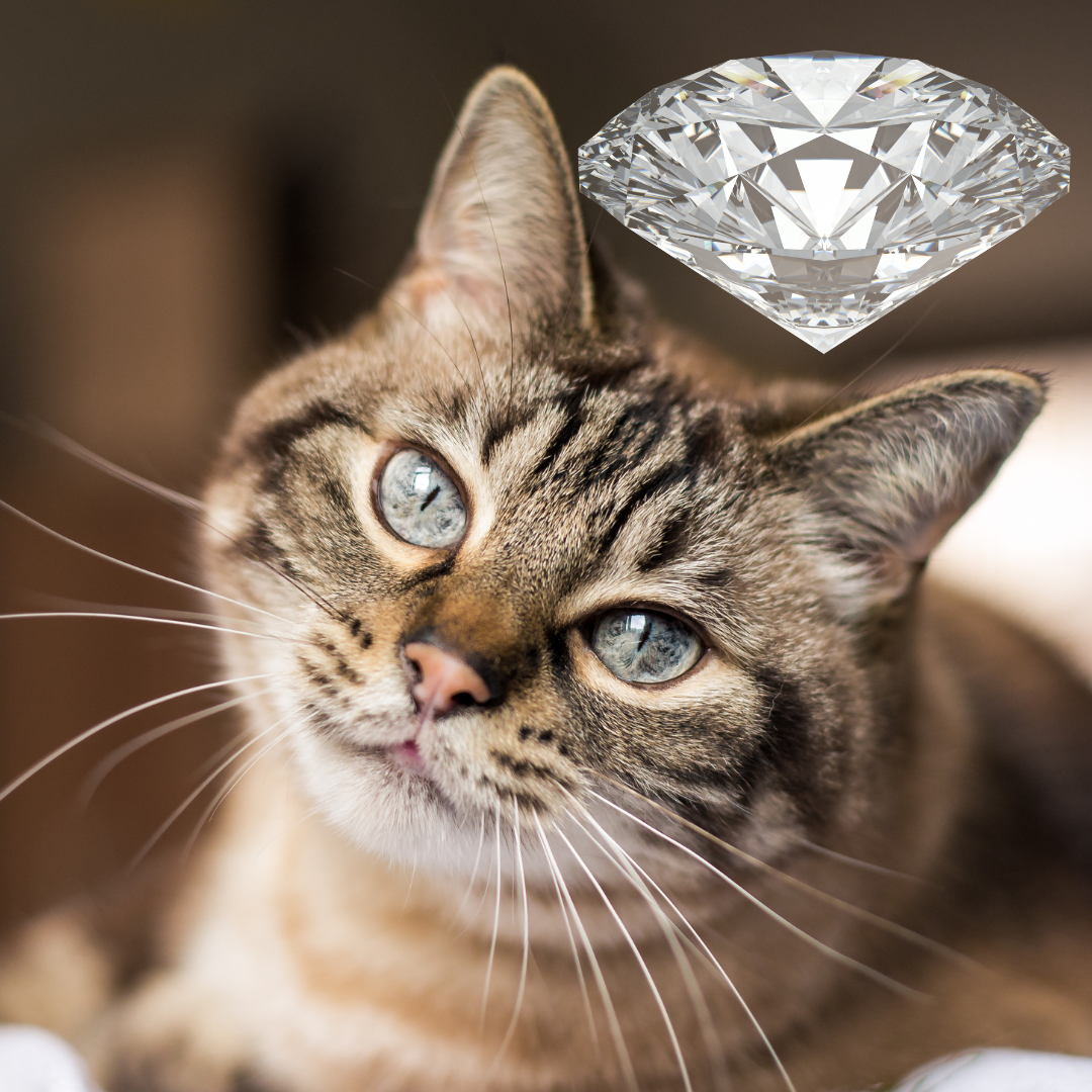Diamantkatze - Diamond cat  - Ekaterina Fedosova - HANDBUCH IN DEUTSCHER SPRACHE