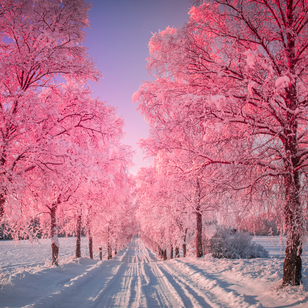 Rosa Baum - Pink Tree - Ekaterina Fedosova -  HANDBUCH IN DEUTSCHER SPRACHE