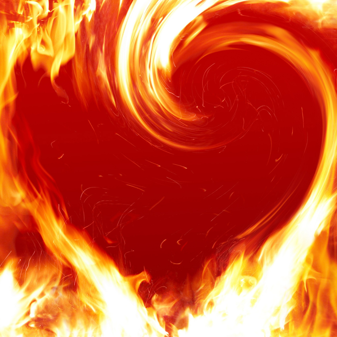 Neues Feuer - New Fire - Ekaterina Fedosova -  HANDBUCH IN DEUTSCHER SPRACHE