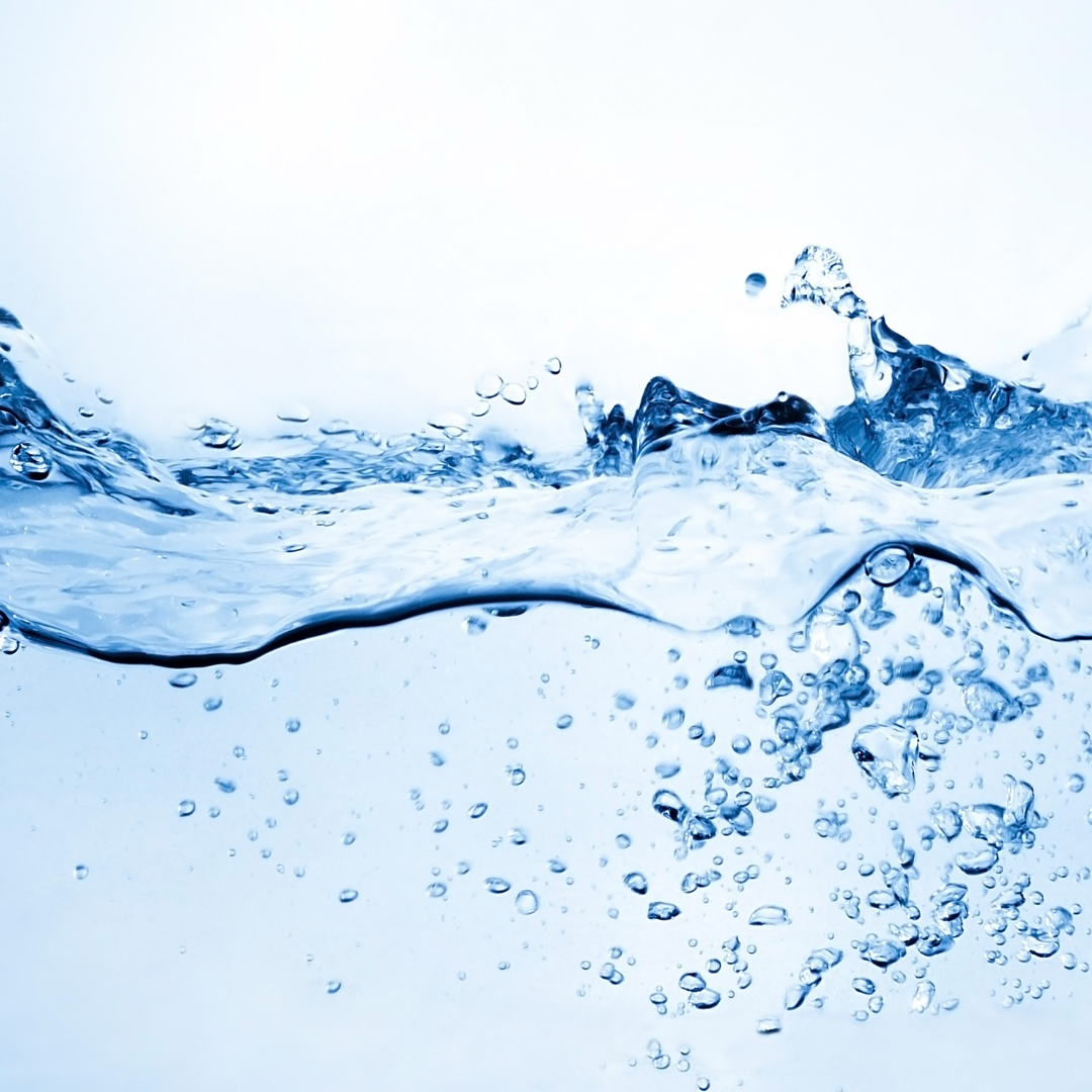 Neues Wasser - New Water - Ekaterina Fedosova - HANDBUCH IN DEUTSCHER SPRACHE