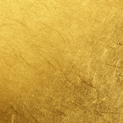 Präsidentielles Gold - Ekaterina Fedosova -  HANDBUCH IN DEUTSCHER SPRACHE