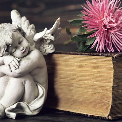 Die Essenz der Engelsblumen - The Essence Of Angelic Flowers - Ekaterina Fedosova - HANDBUCH IN DEUTSCHER SPRACHE