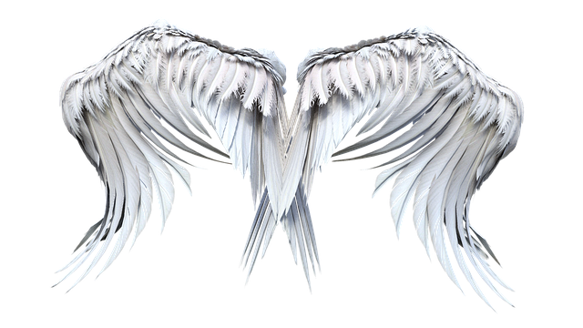 Erzengel Uriels Flügel der Weisheit ™ - Marijana Gabrielsen -  HANDBUCH IN DEUTSCHER SPRACHE