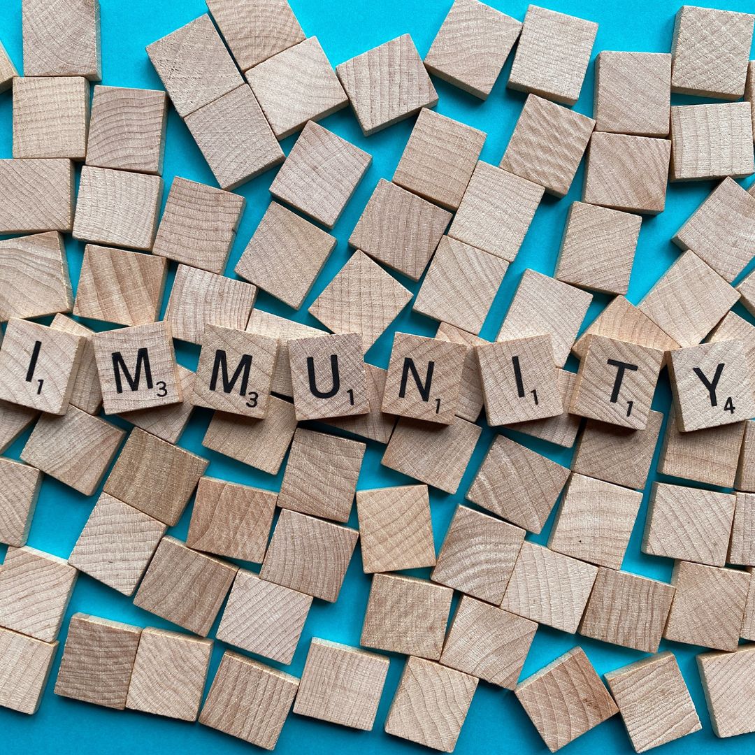 IMMUNOMODULATOR ENHANCER ENERGY - by Argandini Titisari