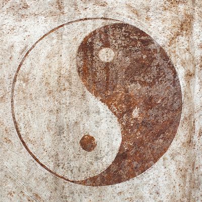 Ying Yang Lichtenergie - Manuela Fasoli - 2020 Ying Yang Lichtenergie - Manuela Fasoli - 2020