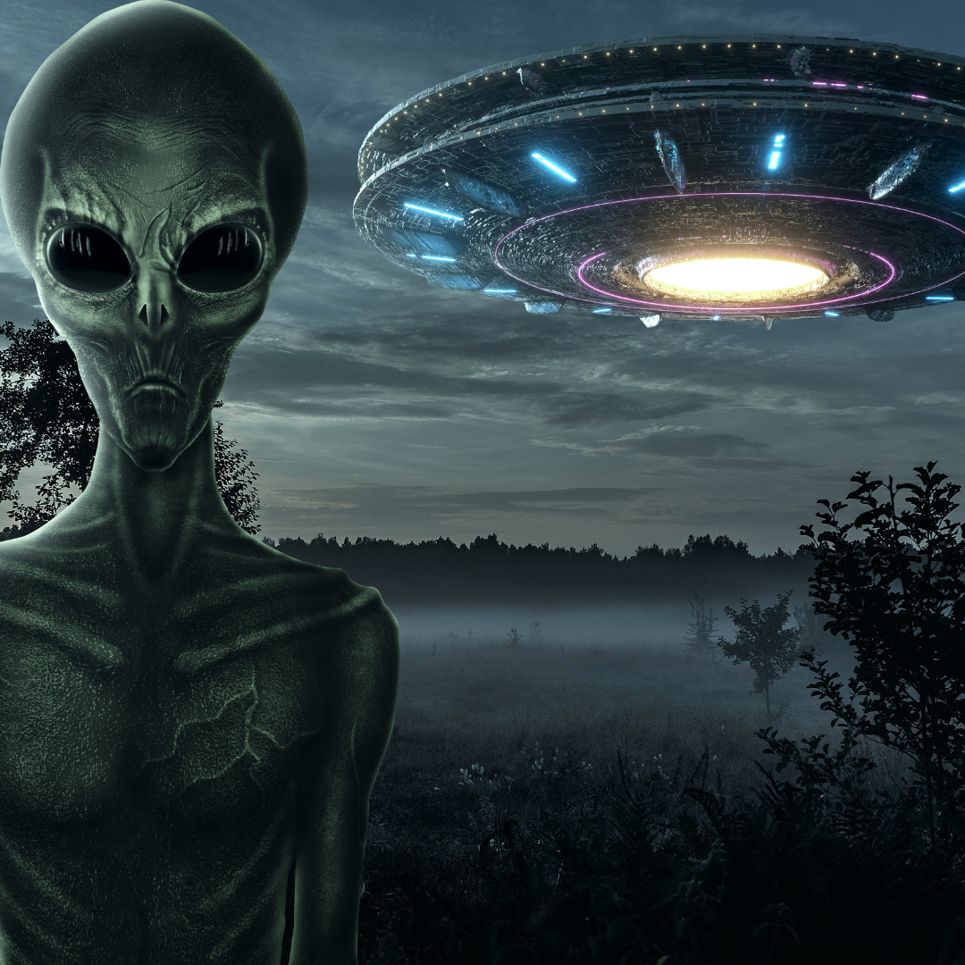 GEFÄHRLICHE ALIEN - GERÄTE ENTFERNER - Manuela Fasoli