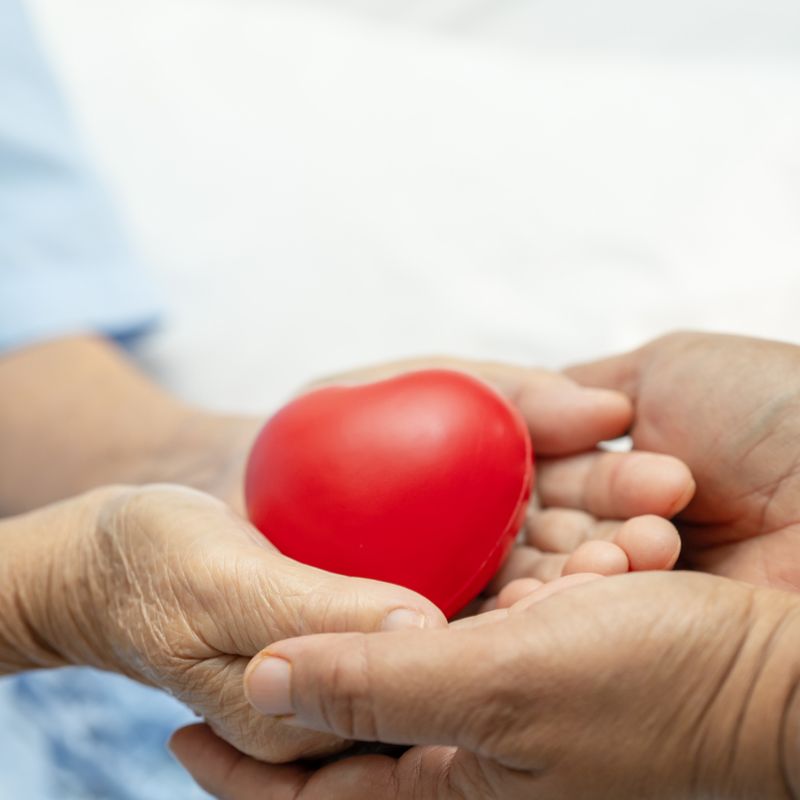 KAMADENHU – DER WUNSCHGEBER - Manuela Fasoli - 2022 KAMADENHU – DER WUNSCHGEBER - Manuela Fasoli - 2022