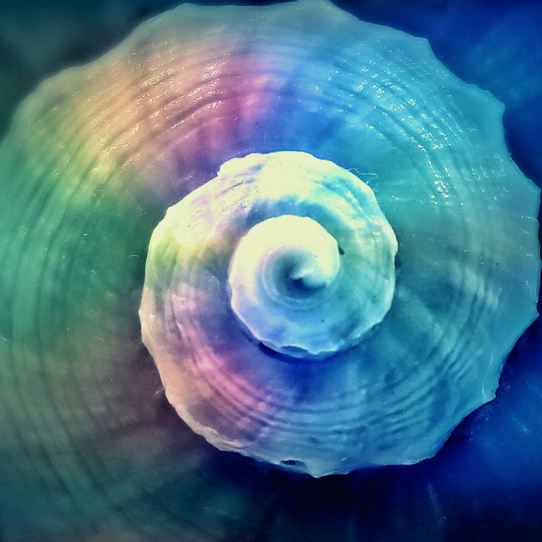 TOMO EBO WIRBEL ENERGIE - TOMO EBO’VORTEX ENERGY - Manual in English or in German