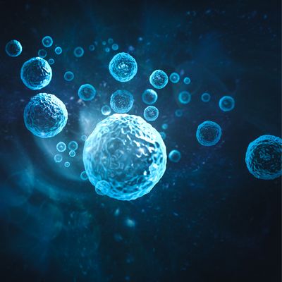 ZELLULARE HARMONISIERUNGS-EINWEIHUNG  - Hari Andri Winarso - 2023  - MANUAL IN ENGLISH OR GERMAN