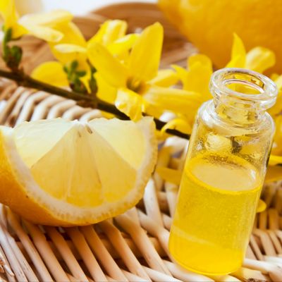 Fruchtessenz der Göttin - Fruit Essence for Goddes - Ekaterina Fedosova -  HANDBUCH IN DEUTSCHER SPRACHE