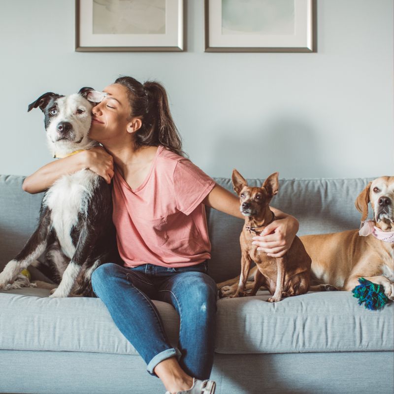 BESPRECHEN FÜR TIERE - Martina Kenny - HANDBUCH IN DEUTSCHER SPRACHE