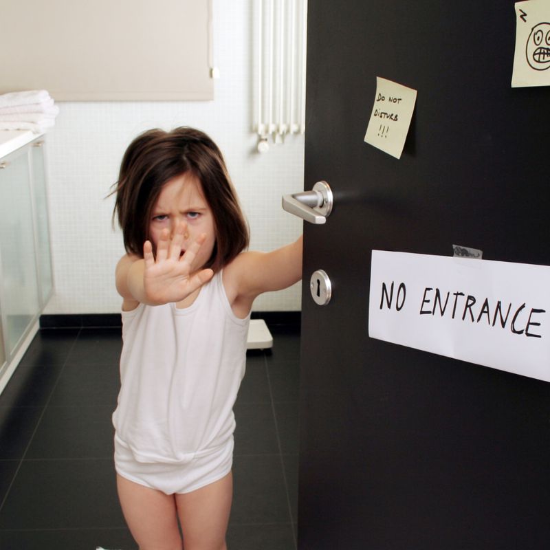 ÜBERSINNLICHER SCHUTZ DER PRIVATSPHÄRE " - MEISTER - Mariah Windsong-Couture - HANDBUCH IN DEUTSCHER SPRACHE