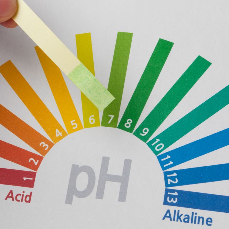 Body PH Balancing - by Argandini Titisari