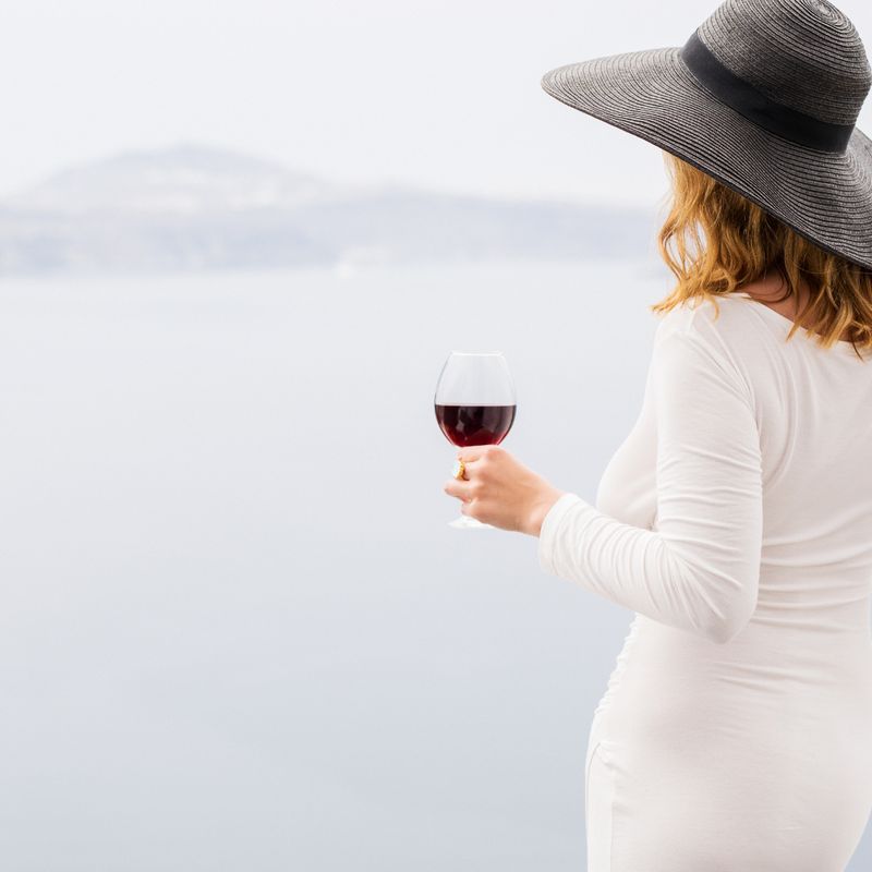 Lady Popularity - Ekaterina Fedosova -  HANDBUCH IN DEUTSCHER SPRACHE