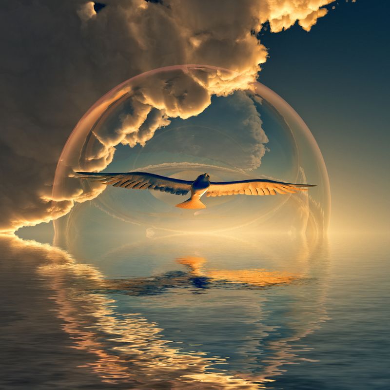 Fernkurs - HOCH FREQUENTER KURS - COURSE HIGH FREQUENCY –  HANDBUCH IN DEUTSCHER SPRACHE