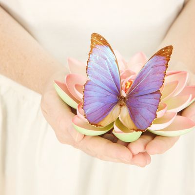 Emotionales Energie Degenerative Erkrankungen Heilungs- Reiki - Daelyn Wolf - 2023 - Manual in English or in German