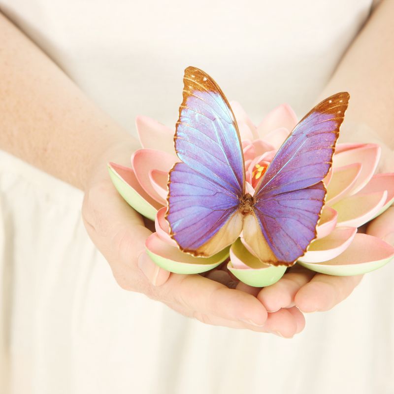 Emotionales Energie Degenerative Erkrankungen Heilungs- Reiki - Daelyn Wolf - 2023 - Manual in English or in German