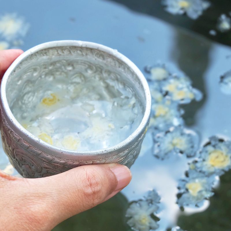 WEIHWASSER ENERGIE 999 - A.Z. Hannael - HANDBUCH IN DEUTSCHER SPRACHE