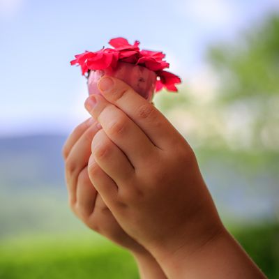 Wertschätzungs-Strahlen - Mariah Windsong-Couture - HANDBUCH IN DEUTSCHER SPRACHE