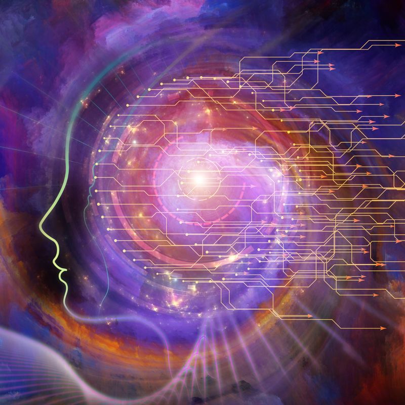 MEINE SEELENABSTAMMUNG GENETISCHE INTEGRATION - MASTER - Mariah Windsong-Couture - HANDBUCH IN DEUTSCHER SPRACHE