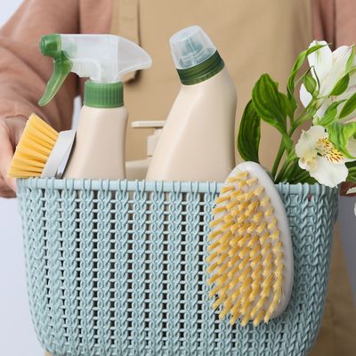 FRÜHJAHRSPUTZWERKZEUG - Argandini Titisari FRÜHJAHRSPUTZWERKZEUG - Argandini Titisari