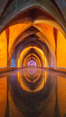 MAGISCH OKKULTES ELIXIER - Manuela Fasoli - 2023