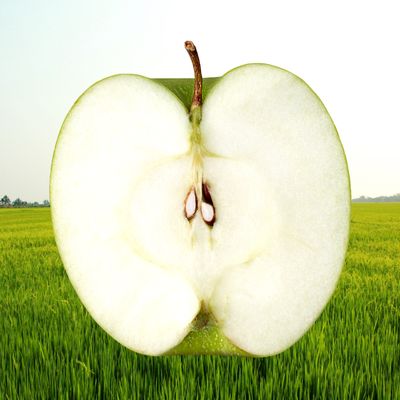 Weißer Apfel von Ceres (Göttin der Ernte) - Marijana Gabrielsen - HANDBUCH IN DEUTSCHER SPRACHE