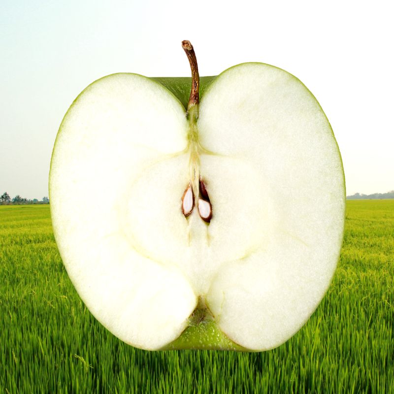 Weißer Apfel von Ceres (Göttin der Ernte) - Marijana Gabrielsen - HANDBUCH IN DEUTSCHER SPRACHE