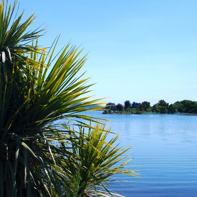 KUMARA REIKI 2017 - Ole Gabrielsen - HANDBUCH IN DEUTSCHER SPRACHE