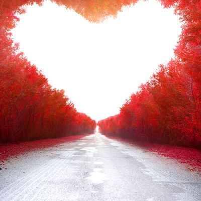 Licht und Liebe Heilungs - Reiki - Silvia Opali Dentler - HANDBUCH IN DEUTSCHER SPRACHE