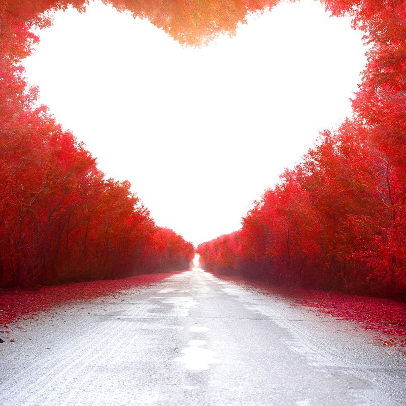 Licht und Liebe Heilungs - Reiki - Silvia Opali Dentler - HANDBUCH IN DEUTSCHER SPRACHE