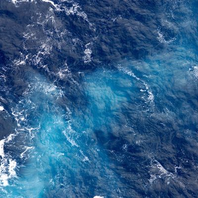 Blue Ocean Angellight - Silvia Opali Dentler - HANDBUCH IN DEUTSCHER SPRACHE