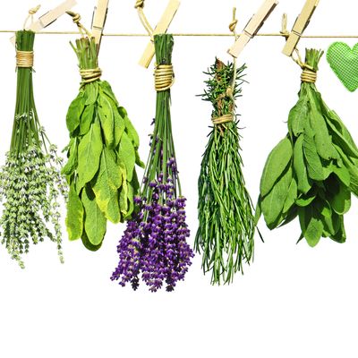 Essenz der Kräuter Reiki - Essence of Herbs Reiki - Level 2 - Ekaterina Fedosova - HANDBUCH IN DEUTSCHER SPRACHE