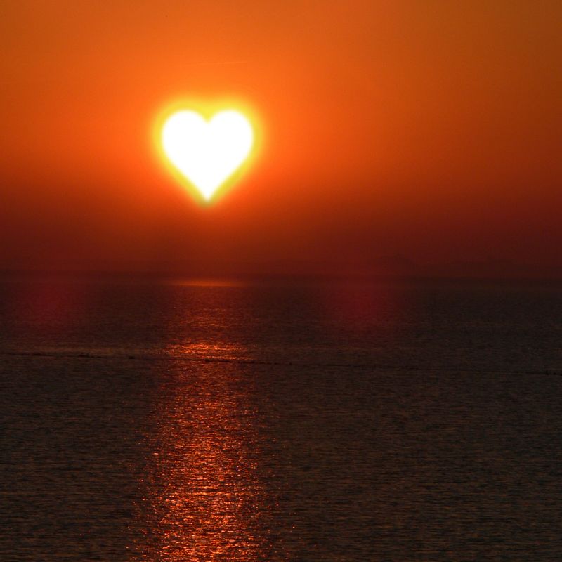 DER TRAUM DER LIEBE - Angelica Saerbeck - HANDBUCH IN DEUTSCHER SPRACHE