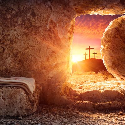 Die Engel der Auferstehung - Angelica Saerbeck - HANDBUCH IN DEUTSCHER SPRACHE