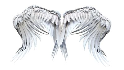 Erzengel Uriels Flügel der Weisheit ™ - Marijana Gabrielsen -  HANDBUCH IN DEUTSCHER SPRACHE