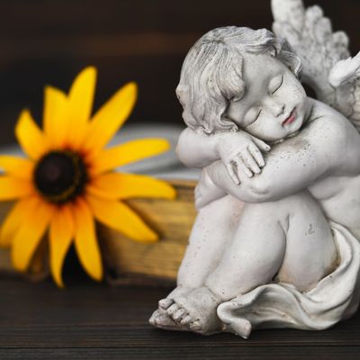 Der himmlische Kanal der Schutzengel - Angelica Saerbeck - HANDBUCH IN DEUTSCHER SPRACHE