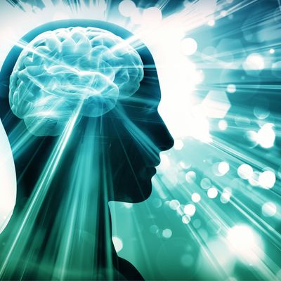 Magisches Elixier - Ernährung für das Gehirn - Ekaterina Fedosova - 2023 - HANDBUCH IN DEUTSCHER SPRACHE Magisches Elixier - Ernährung für das Gehirn - Ekaterina Fedosova - 2023 - HANDBUCH IN DEUTSCHER SPRACHE