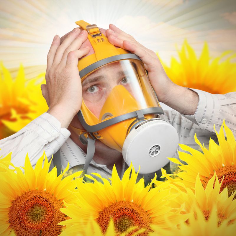 ERHÖHTER ENERGETISCHER ALLERGIESCHUTZ - Mariah Windsong-Couture - HANDBUCH IN DEUTSCHER SPRACHE ERHÖHTER ENERGETISCHER ALLERGIESCHUTZ - Mariah Windsong-Couture - HANDBUCH IN DEUTSCHER SPRACHE